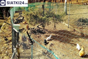 Siatki Zielonka - Siatka na woliery - zabezpieczenia ptaków w hodowli dla terenów Miasta Zielonka